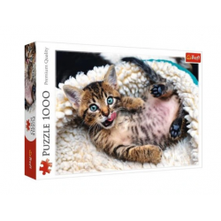 TREFL 1000 EL. Wesoly kotek...